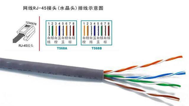 来自文章水晶头应该如何接入网线，水晶头接线教程的图片配图介绍